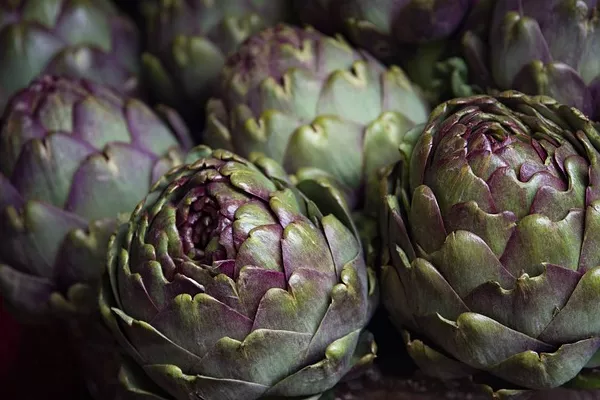 World's Best Import Markets for Artichoke