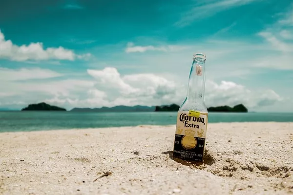 Constellation Brands Faces Grim Sales Outlook Amid Changing Consumer Behavior