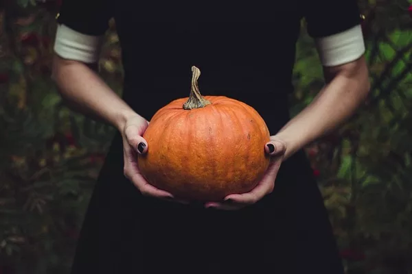 Average Price of Pumpkins in South Africa Rises by 7% to $738 per Ton