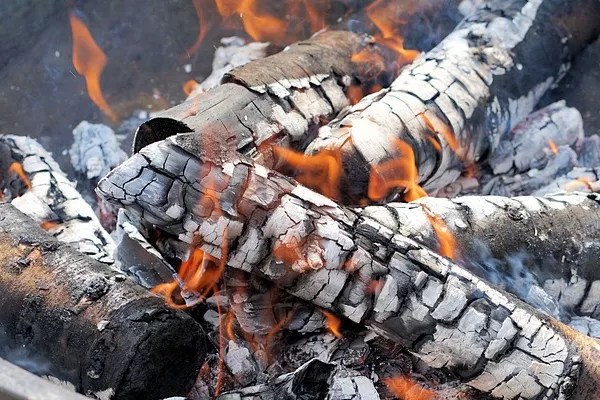 Top Wood Charcoal Import Markets Globally