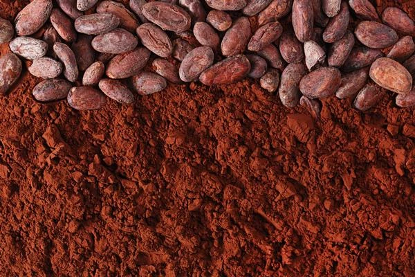 Australia's Importation of Cocoa Powder Slightly Falls to $51 Million in 2023