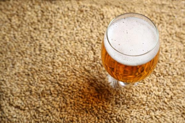 India's July 2023 Malt Exports Reach $974K