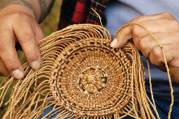 Which Country Imports the Most Plaits and Similar Plaiting Material Products in the World?