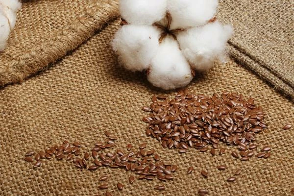 August 2023 Sees a Significant Drop in Italy's Cottonseed Import Value, Reaching $3.5M.