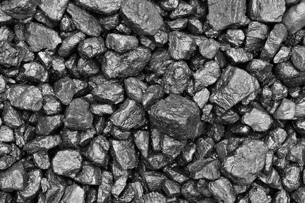 Decline in Australian Coking Coal Exports: January 2025 Analysis