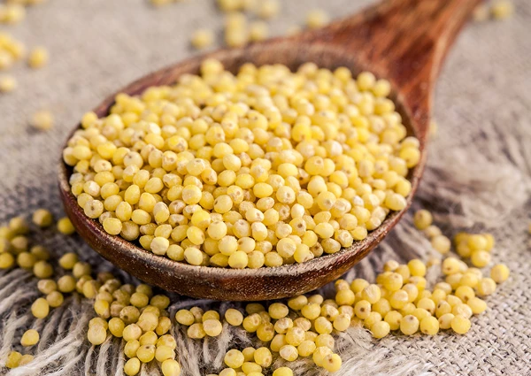 China Experiences Significant Surge in Millet Export Reaching $6.5M in 2024