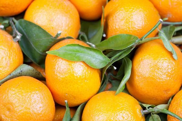 Qatar's Import Revenue for Oranges Declines to $3.3M in October 2023