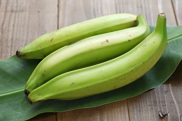 Spain's September 2023 Plantain Imports Plummet to $3.6M