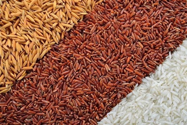 France's August 2023 Import of Paddy Rice Surges to $133K