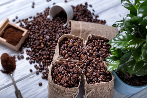 Canada's Import of Non-Decaffeinated Roasted Coffee Climbs 4% to $809 Million in 2023