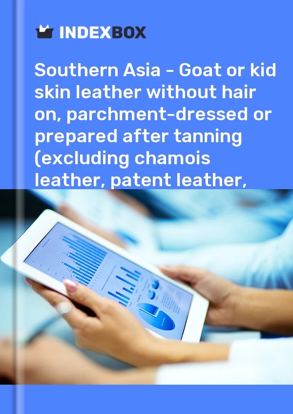 Report Southern Asia - Goat or kid skin leather without hair on, parchment-dressed or prepared after tanning (excluding chamois leather, patent leather, patent laminated leather and metallised leather) - Market Analysis, Forecast, Size, Trends and Insights for 499$