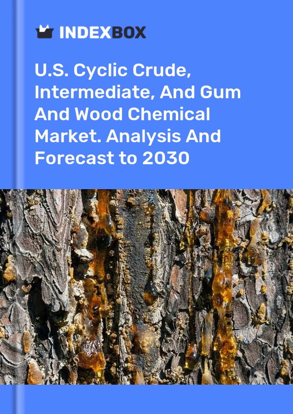 Report U.S. Cyclic Crude, Intermediate, and Gum and Wood Chemical Market. Analysis and Forecast to 2030 for 499$