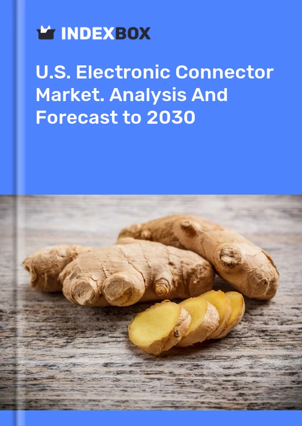 U.S. Electronic Connector Market. Analysis And Forecast to 2030