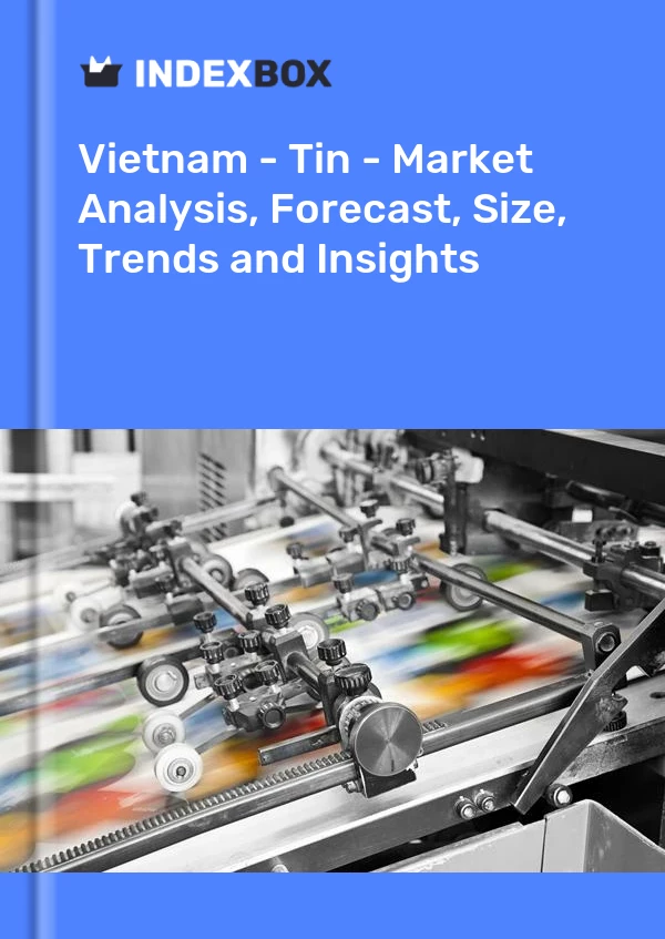 Report Vietnam - Tin - Market Analysis, Forecast, Size, Trends and Insights for 499$